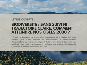 Biodiversité : sans suivi ni trajectoire claire, comment atteindre nos cibles 2030 ?