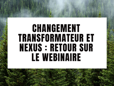Transformative Change and Nexus: A Look Back at an Important Webinar