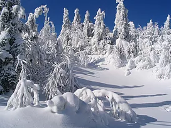 paysage97_webp.webp
