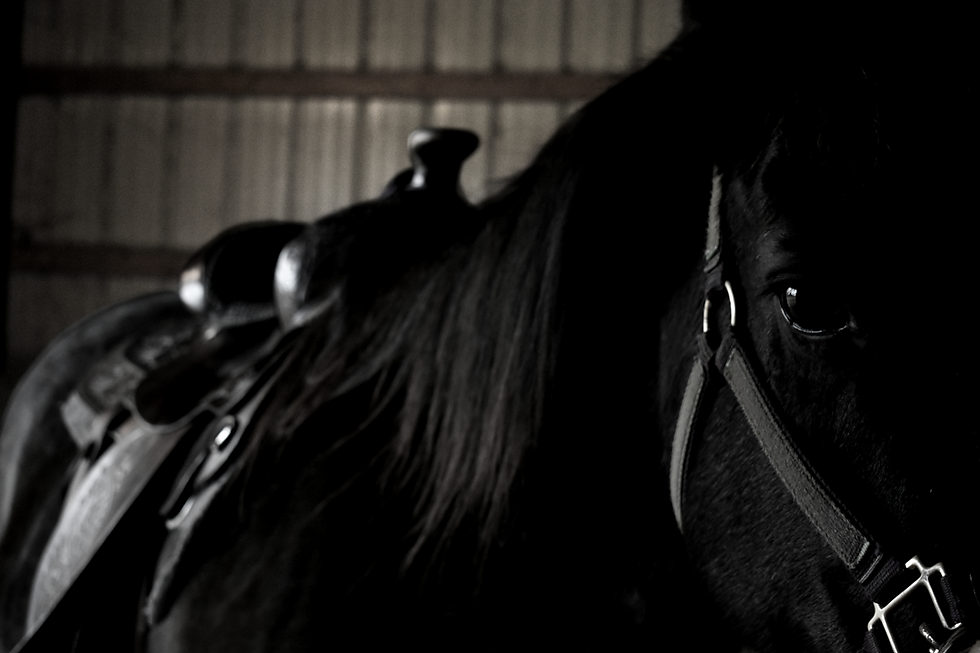 lindsey-bidwell-x4vH0C-rPg8-unsplash_edited.png
