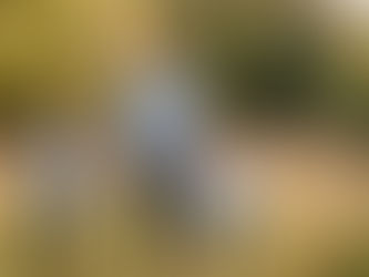 Capturing Precious Moments: Tips for a Memorable Family Photoshoot