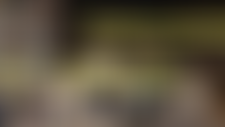 VentureStudio Q4 2025 Business Report