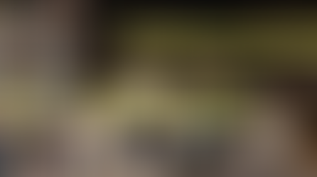 VentureStudio Q4 2025 Business Report