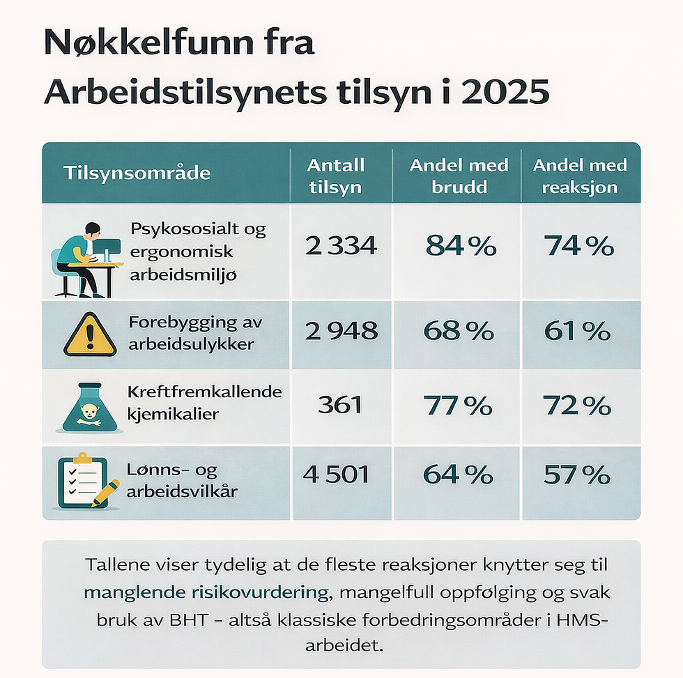 Dette slår Arbeidstilsynet ned på