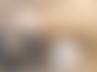 【報告】第37回通常総会開催いたしました