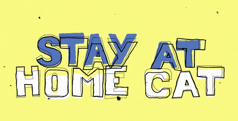 Stay At Home Cat