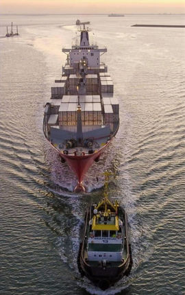 Multratug 13_edited.jpg