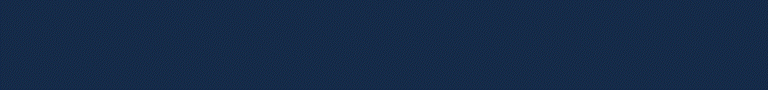 768x90.gif