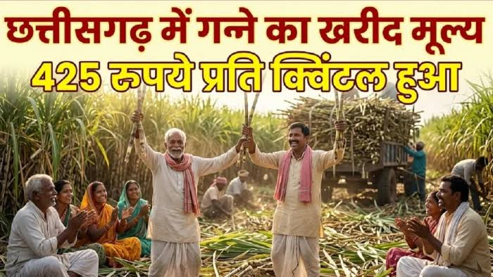 छत्तीसगढ़ में गन्ना किसानों को बड़ी सौगात: पेराई सत्र के लिए बोनस राशि बढ़ाकर 425 रुपये प्रति क्विंटल की गई...