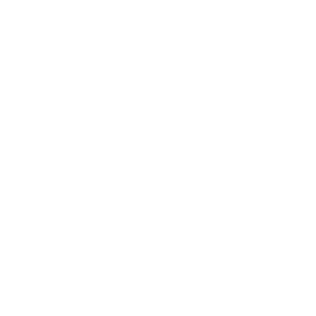 Logo White.png