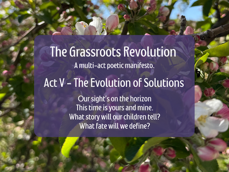 THE GRASSROOTS REVOLUTION: Act V – The Evolution of Solutions