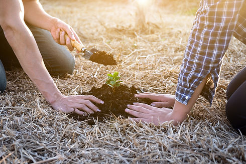 Two People planting trees.jpeg