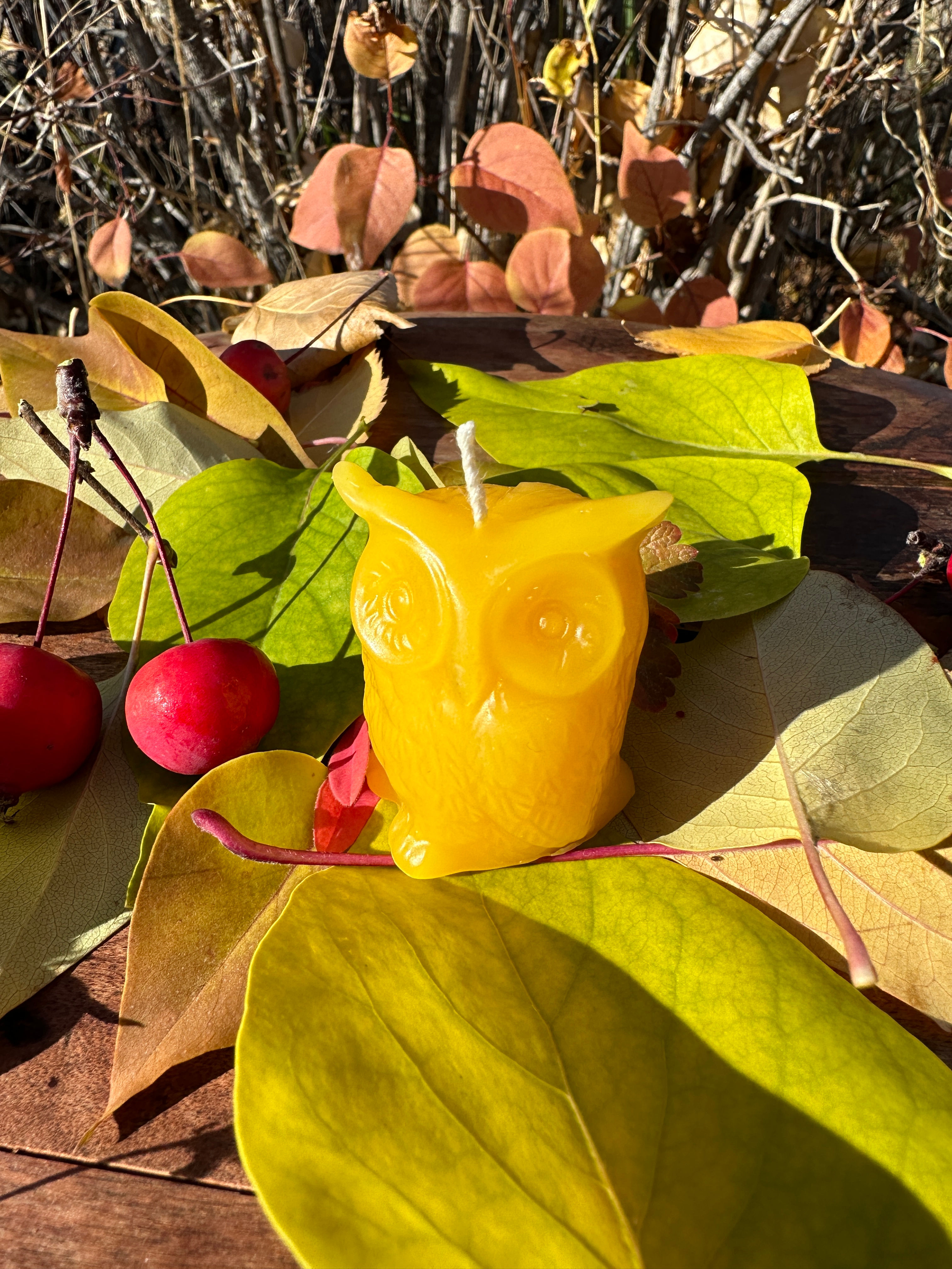 Beeswax Candle - Owl