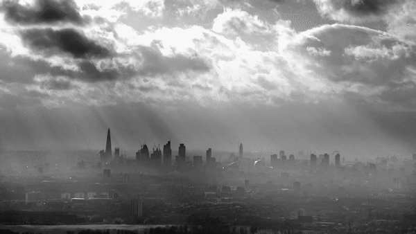 RED - Global Property Investment Group