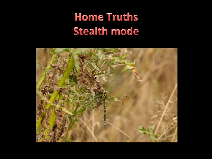 Slide37.jpg
