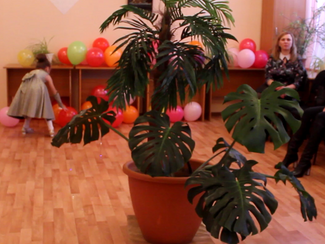 Пальма вместо елки и Бармалей в роли деда Мороза. Креативный новогодний утренник для приемных семей