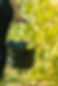 MW1A9363-2.jpg