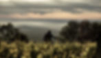 champagne stephane regnault