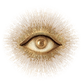 AdobeStock_1430506381_edited.png