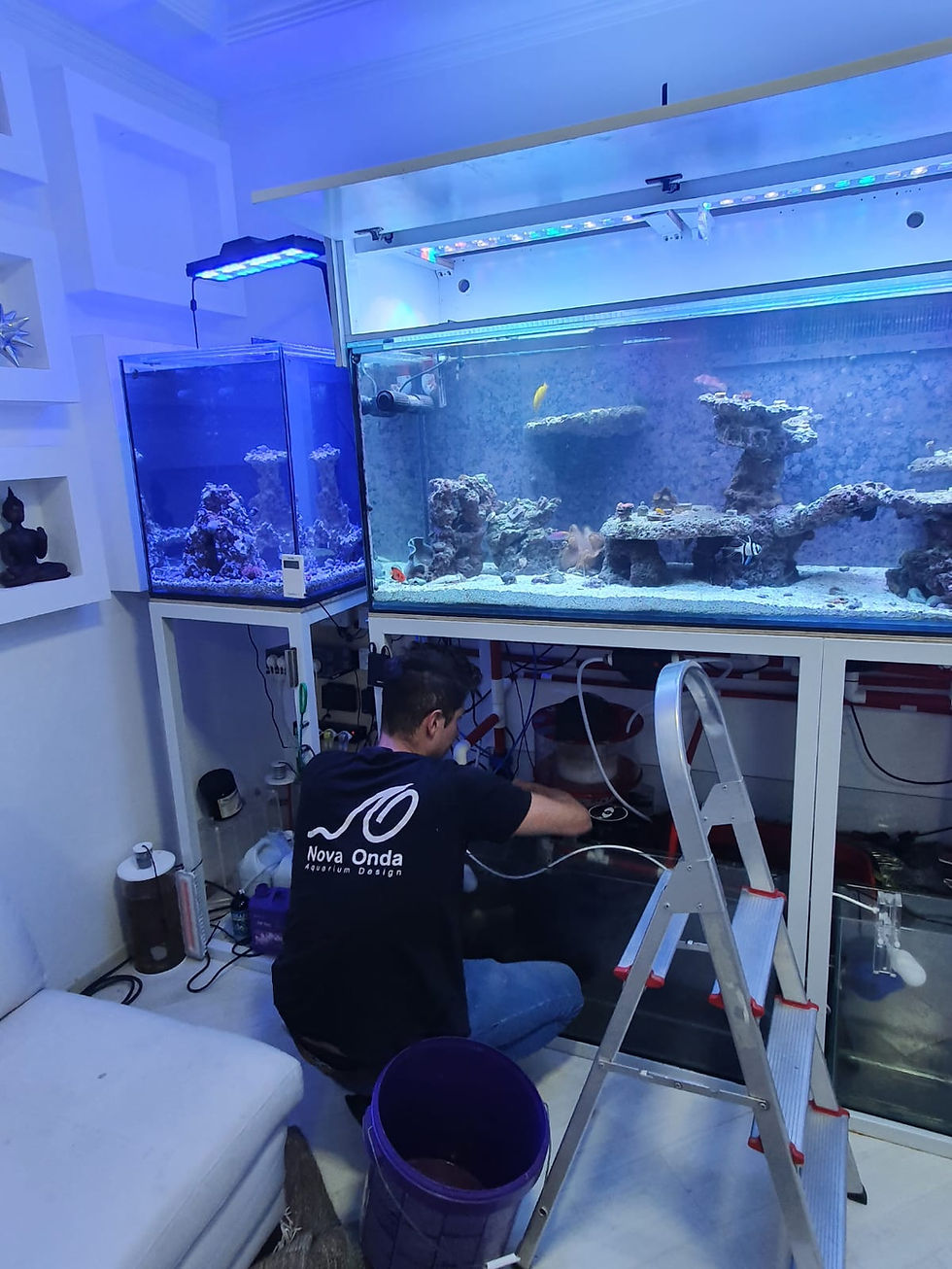 Miniatura: MANUTENÇÃO DE AQUARIO