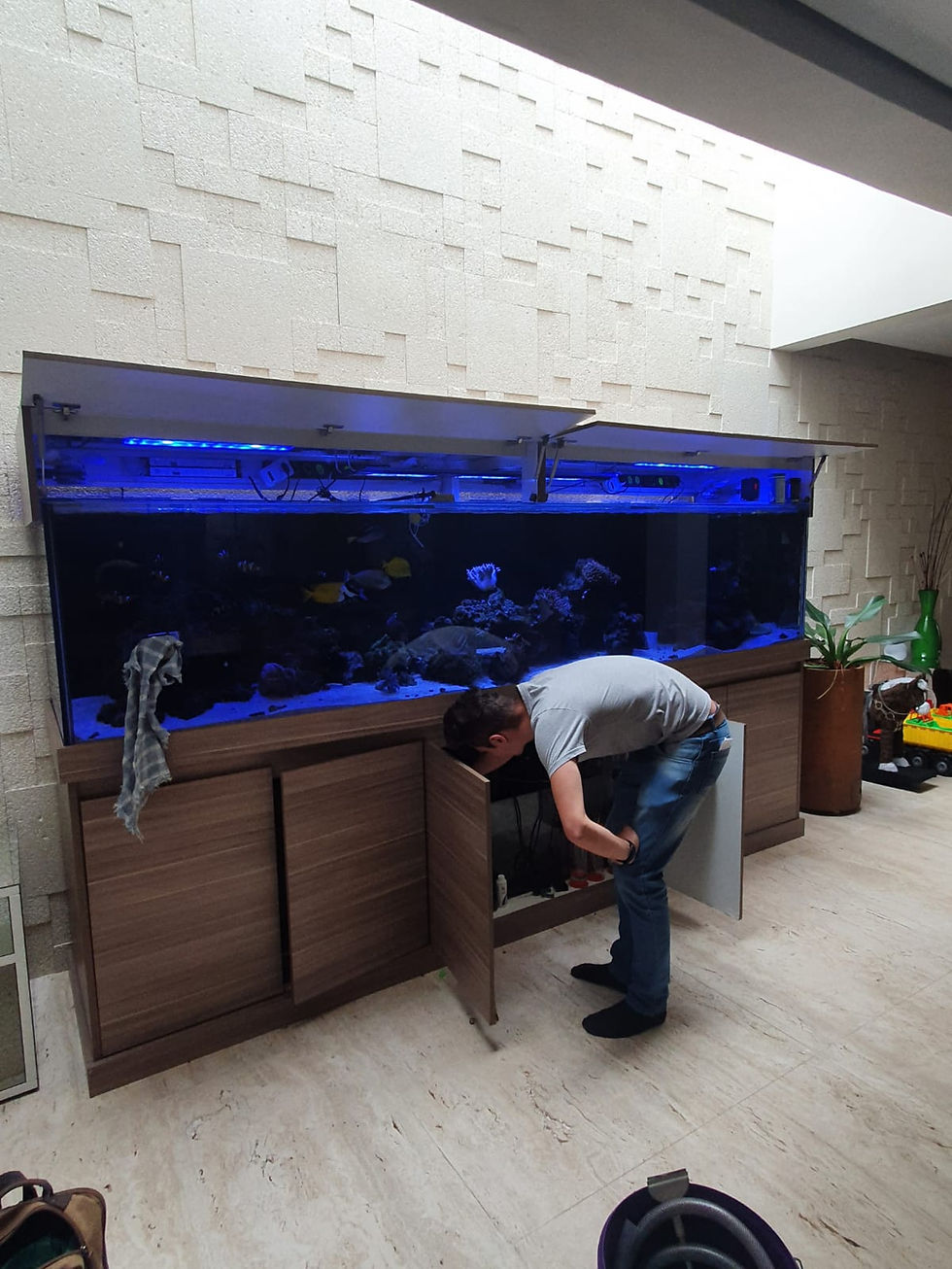 Miniatura: PROJETOS DE AQUÁRIOS