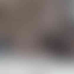 Nathan Morse cycling through the city during quarantine