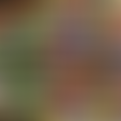 Packets of plant seeds at the supermarket