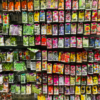 Packets of plant seeds at the supermarket