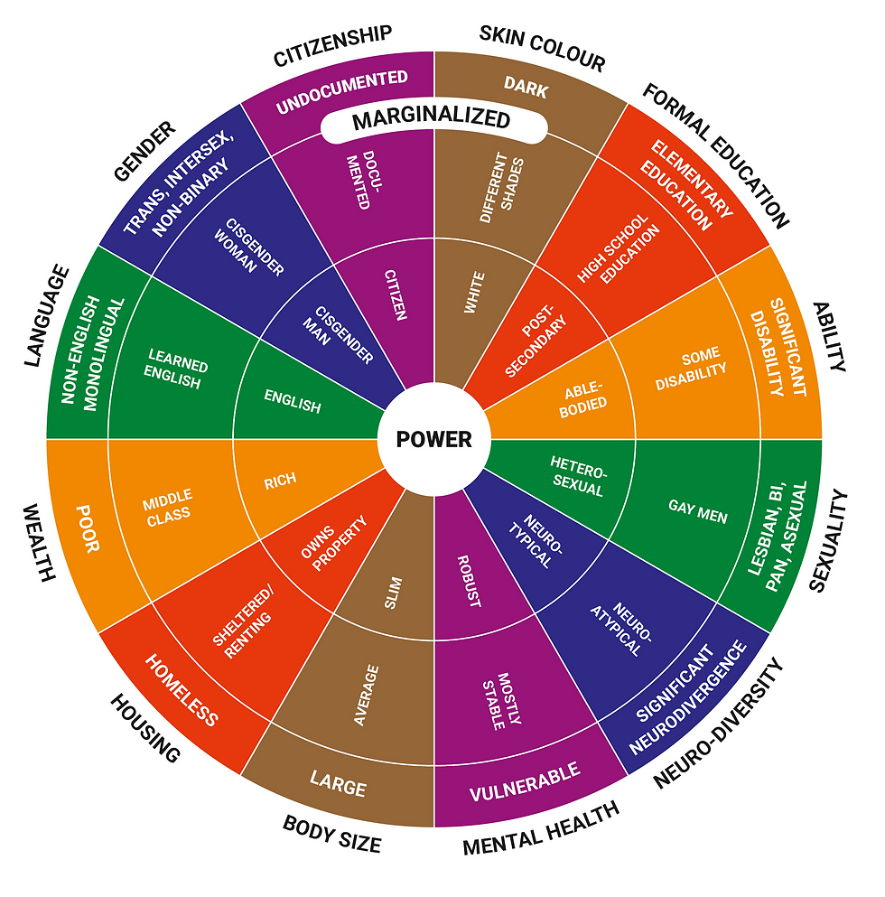 A wheel of power and privilege, illustrating how people with certain traits experience more privilege than others.