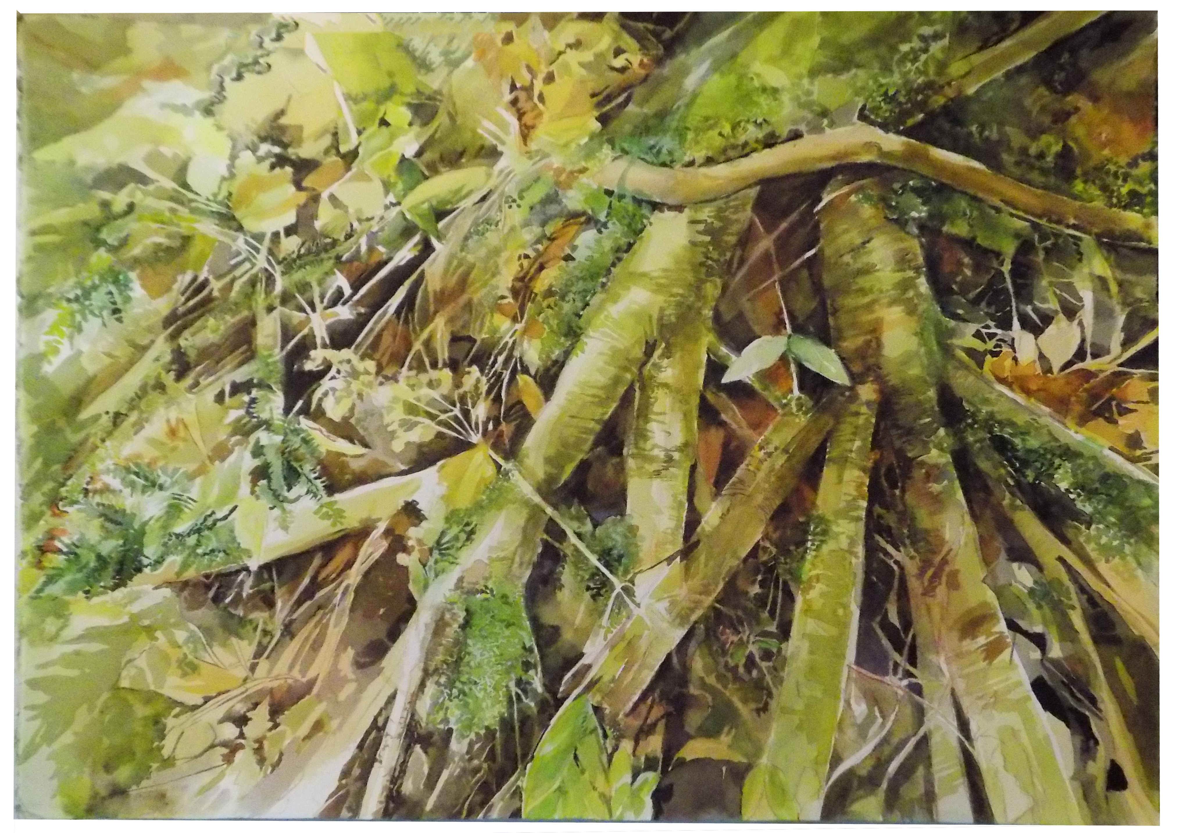 Forest Floor