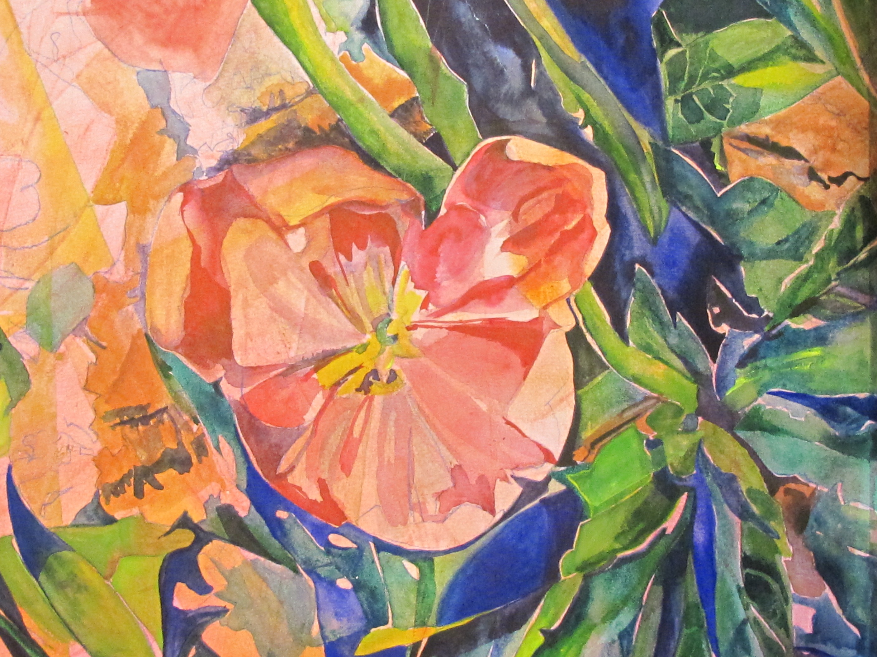 Tulip