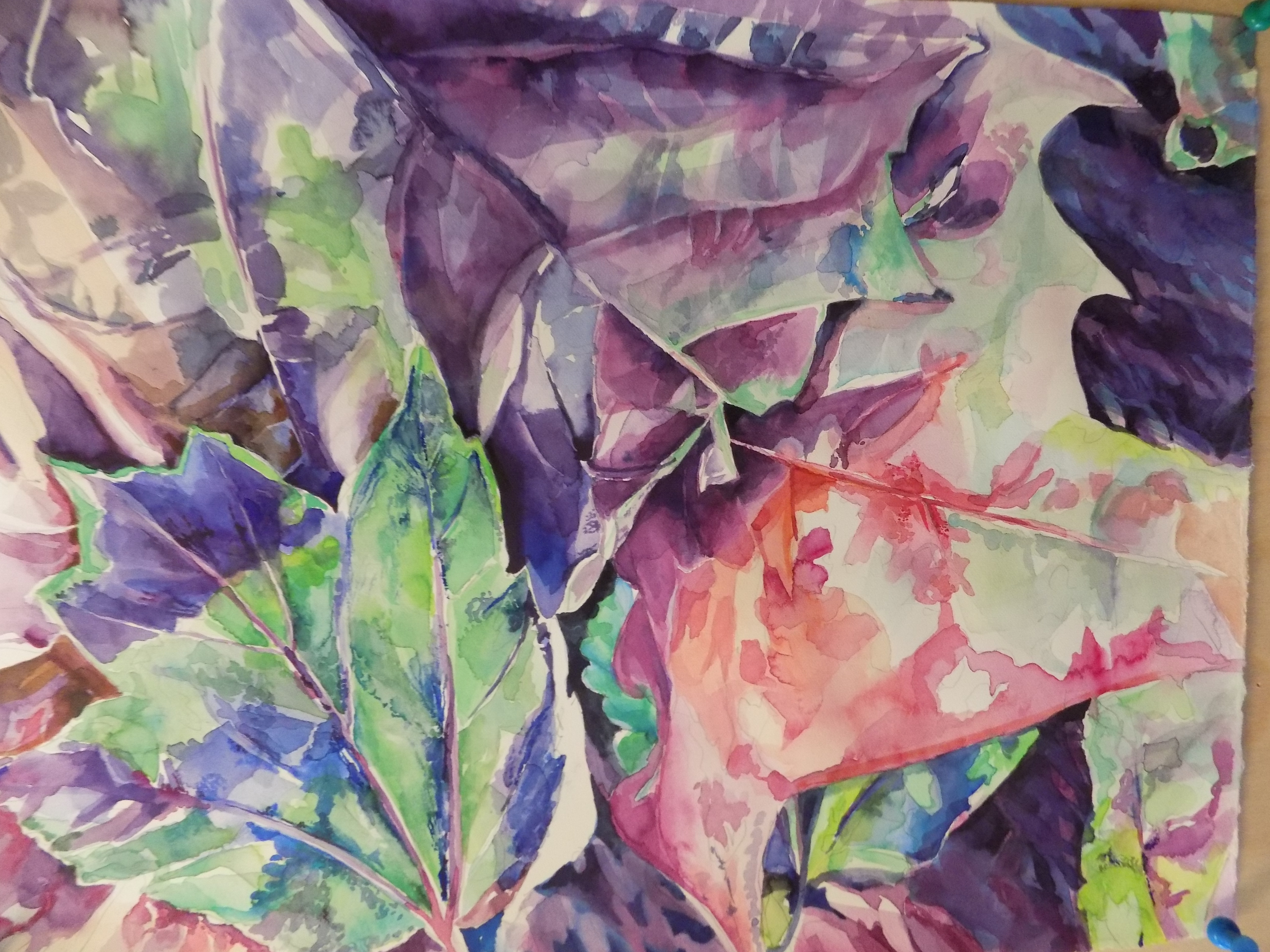 Leaf study 1