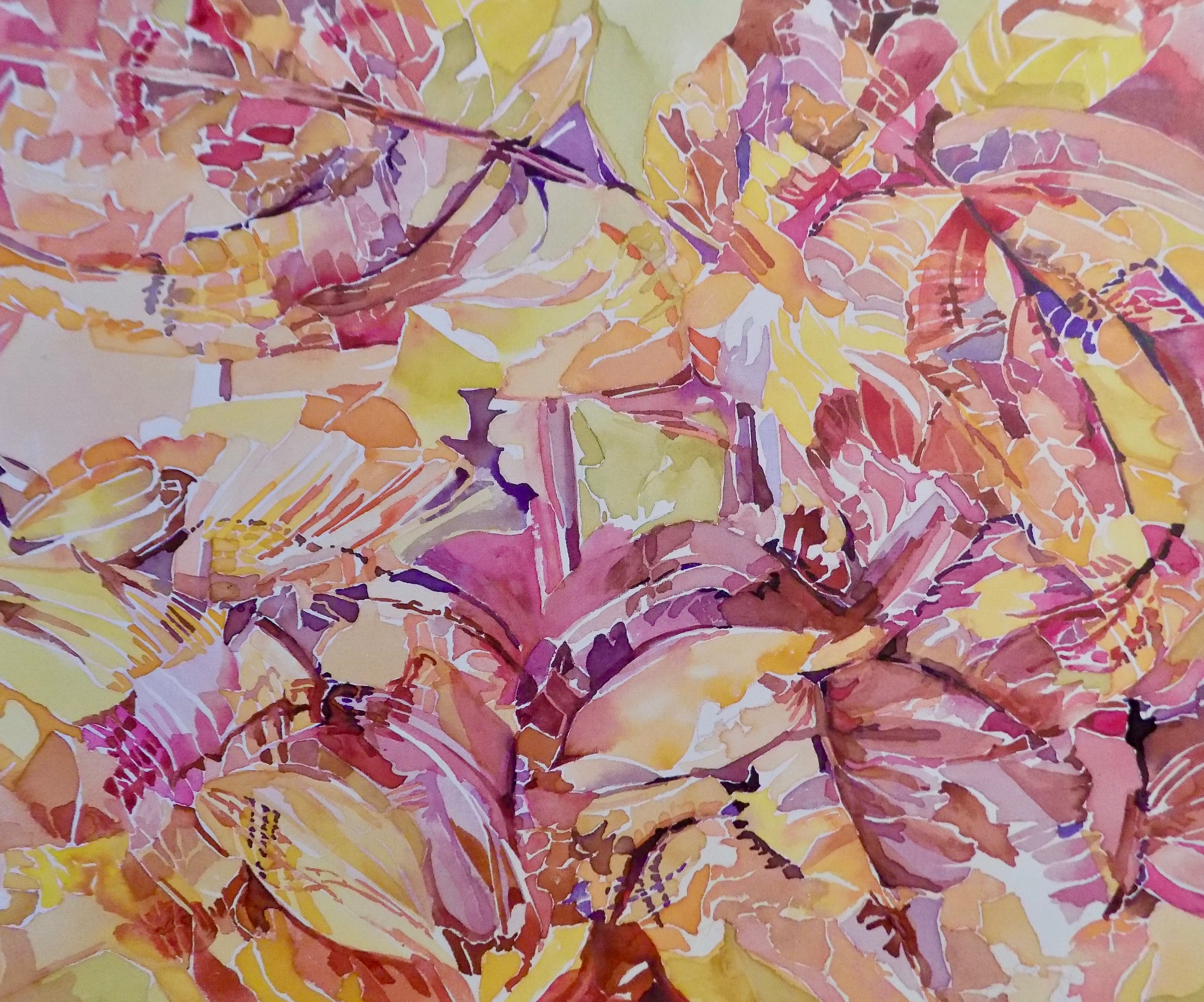 Coleus
