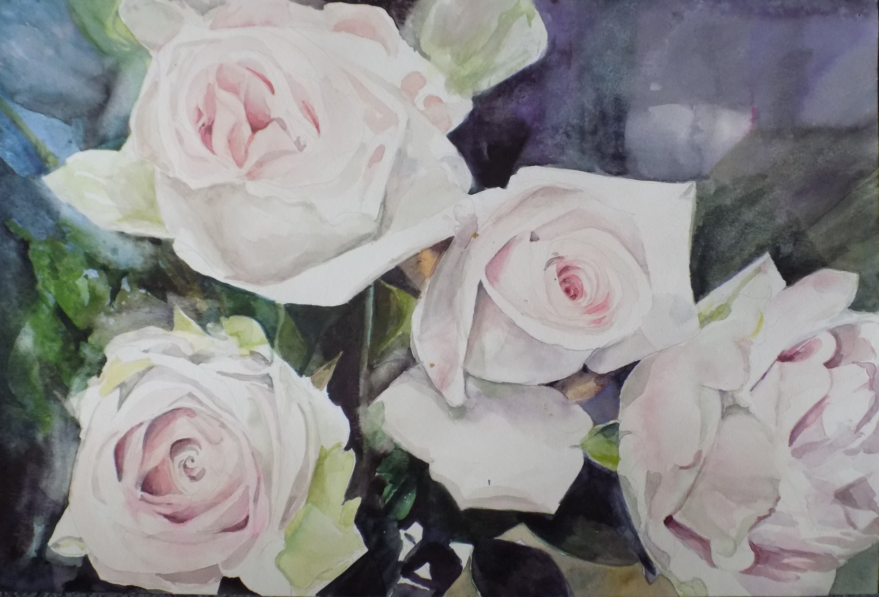 Roses from Peter