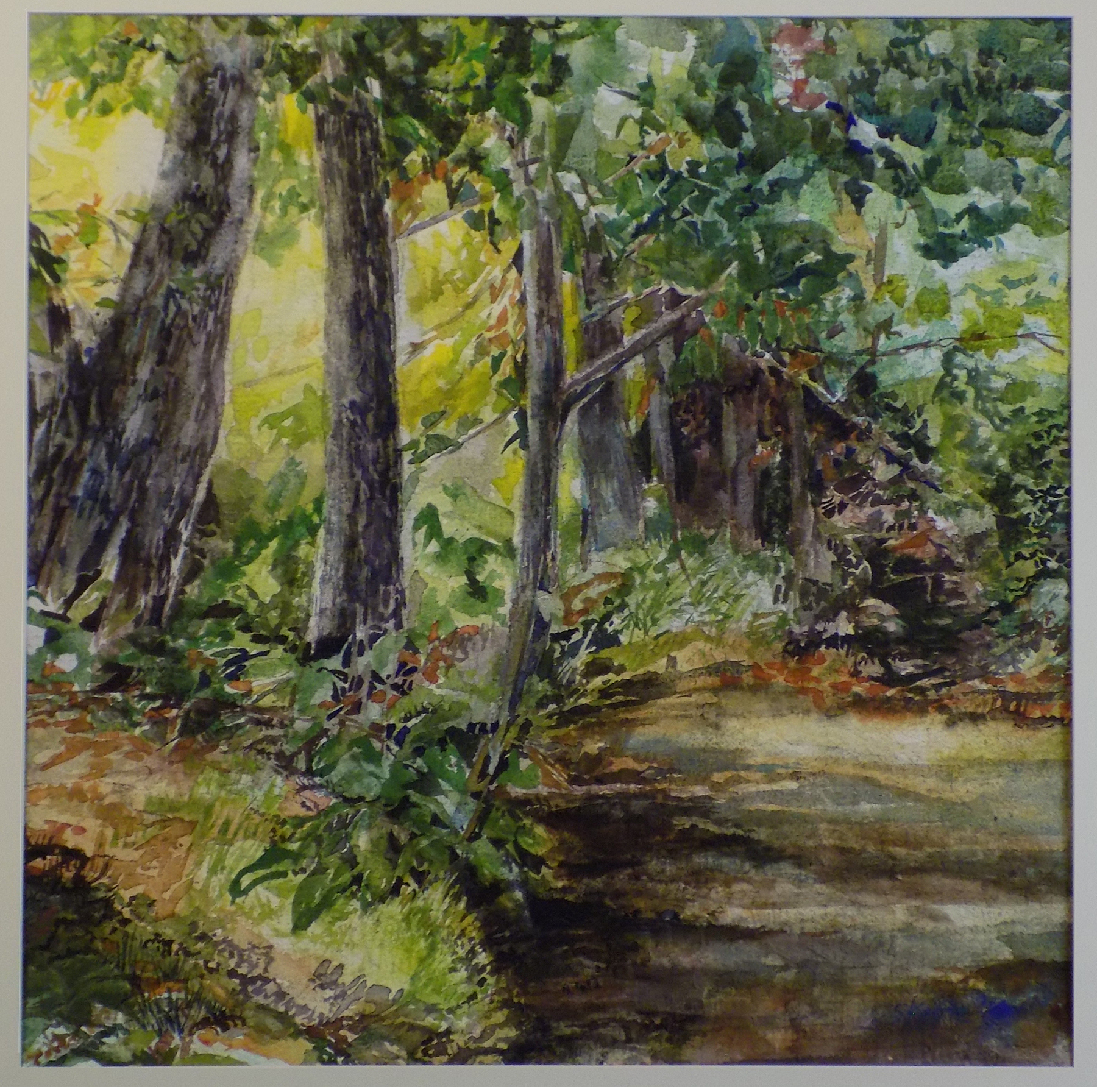 Dry Stream Bed