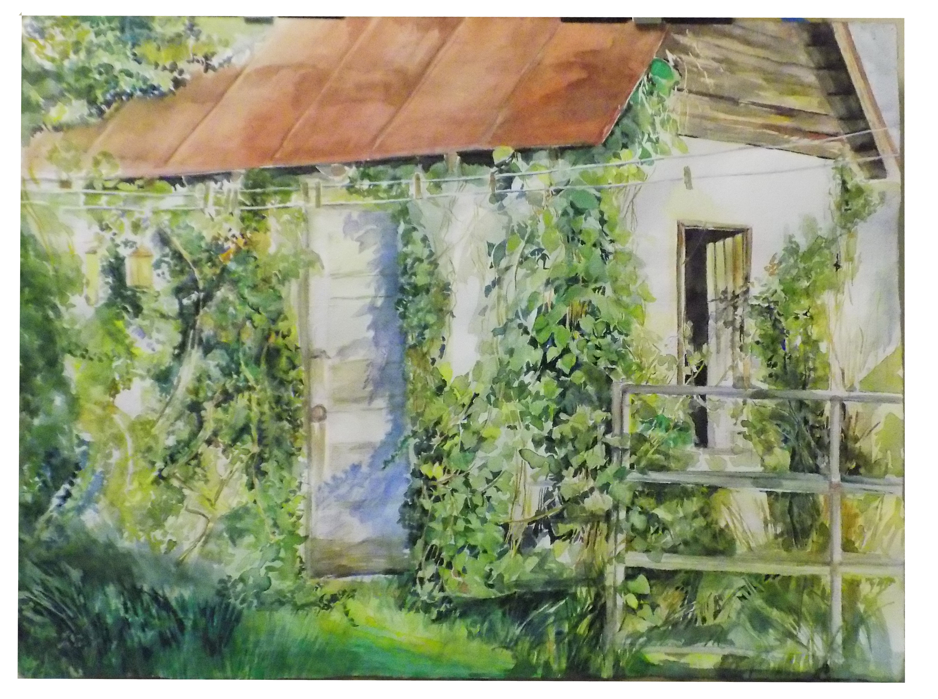 Garden Shed