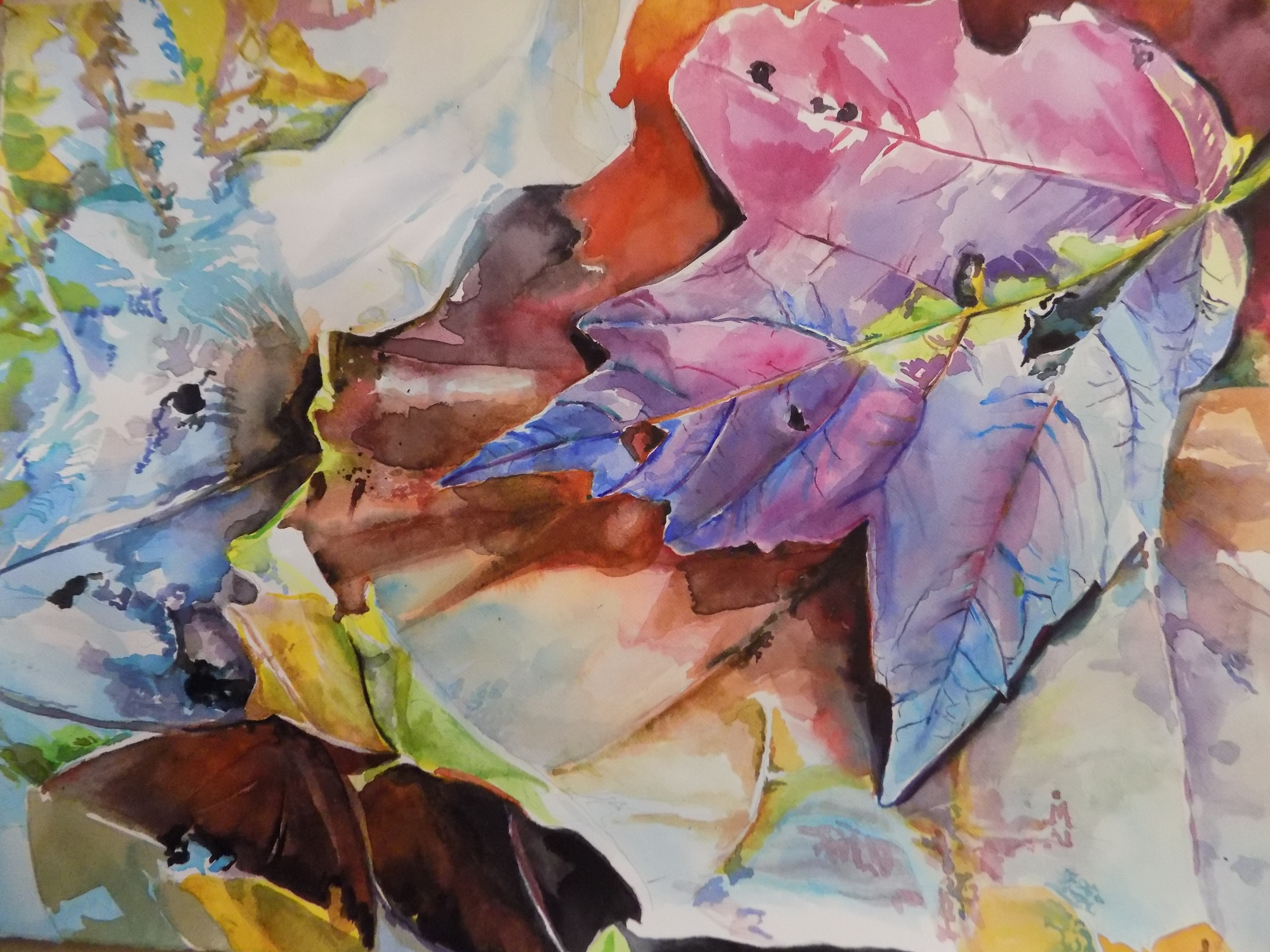 Leaf study 3
