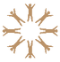 general icon