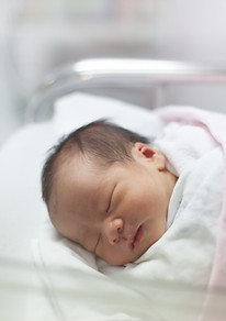 shutterstock_100837750.jpg
