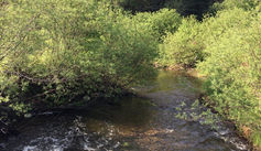 IMG_4823.jpeg