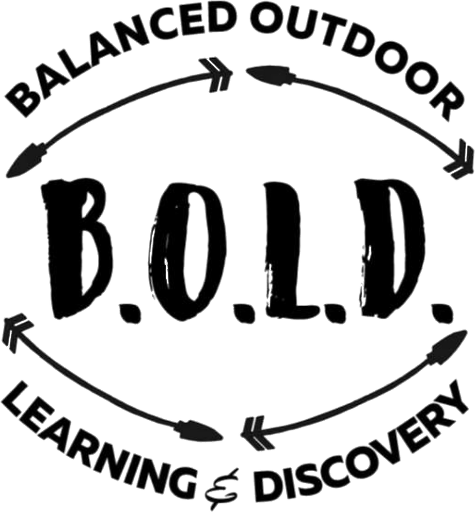 BOLD Logo.png