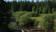 beaverdam & bridge 2.JPG