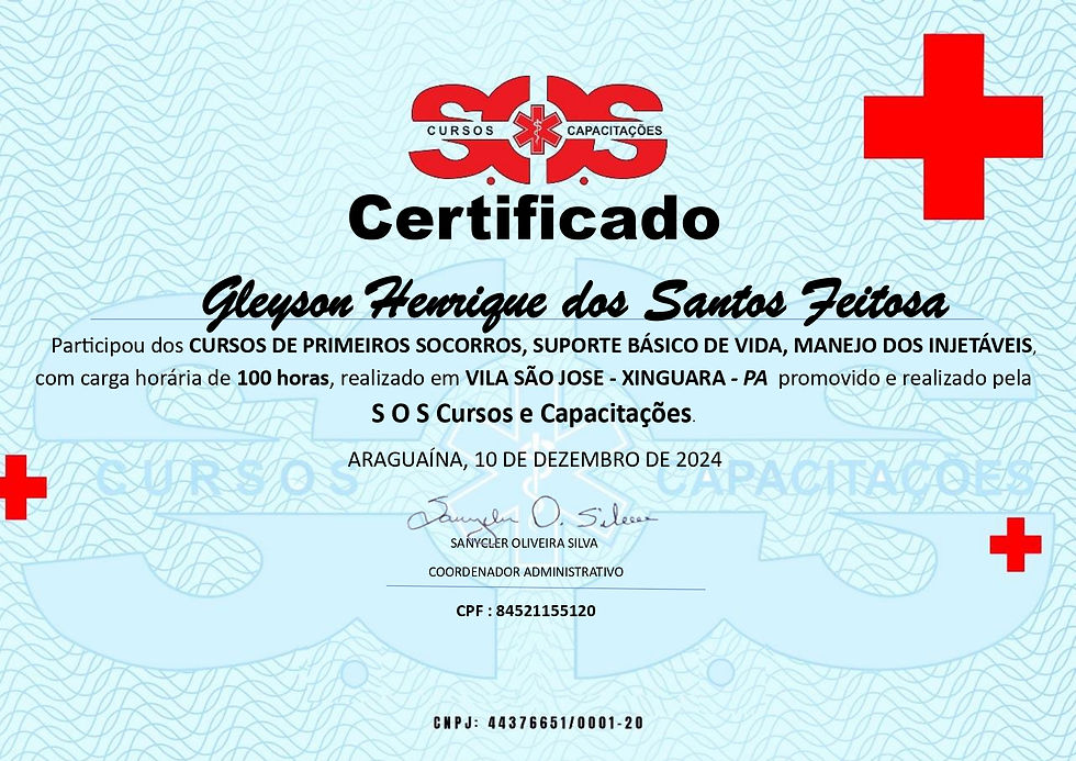 Gleyson Henrique dos Santos Feitosa