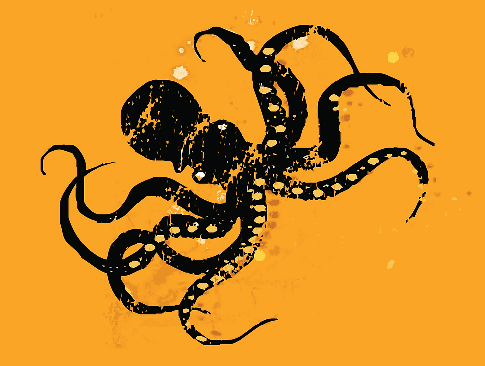 Octo_Print