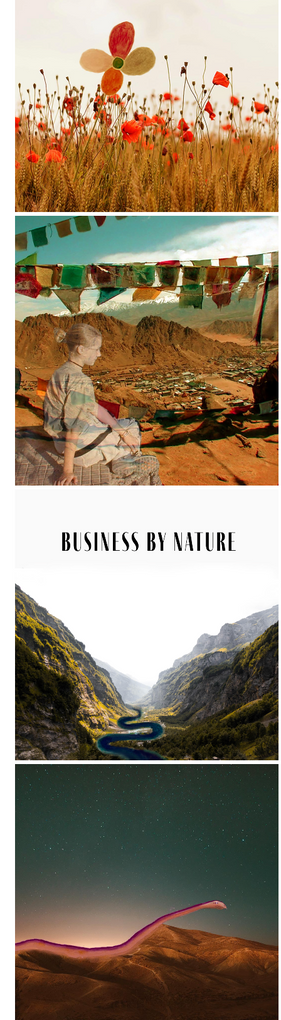 Screen Shot 2022-09-21 at 10.13.55 AM.png