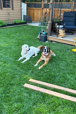 Backyard with privacy fence, patio, and pets – family-friendly outdoor space
