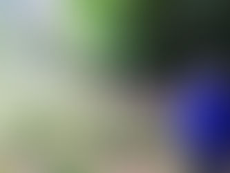 Le 16 Octobre : la Journée Surprise !!!Entre le parc animalier de Rambouillet et le Château de Breteuil, entre les cerfs, rapaces et la découverte du magnifique Château. Quelle belle journée.