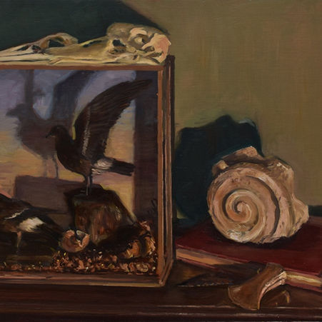 still life antiquarian objects and taxidermy, bronze age axe head and ionic column fragment