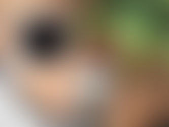 New Website Design, Who Dis?