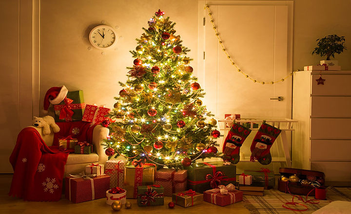 Christmas-tree-natural-artificial-sustai